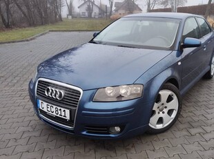 Audi a3 1.6 Mpi 102ps 191 tyś. Klimatron, Alufelgi 17