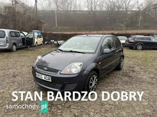 Ford Fiesta Inne