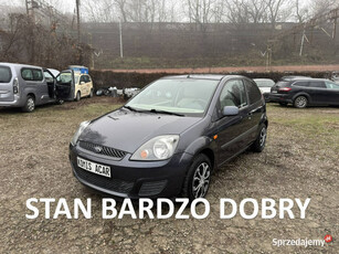 Ford Fiesta LIFTING-1.3i-70km-Serwisowany-Bezwypadkowy-Klimatyzacja-Zadban…