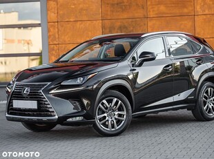 Lexus NX 300h Elegance Optimum AWD