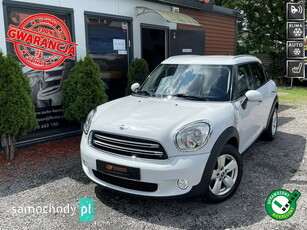 Mini Cooper Inne