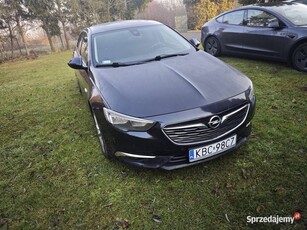 Opel Insignia 2.0cdti salon Polski