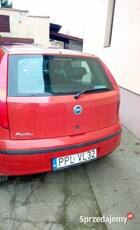 Punto 2004 rok