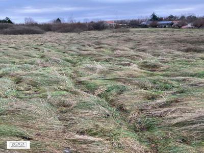 Działka rolna Sulechowo 1200m2