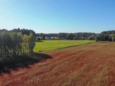 Działka z linią brzegową rzeki Narew (Szablak)