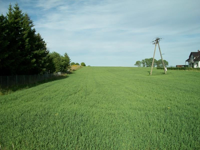 Działka budowlana - Dębogórze