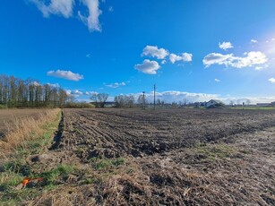 działka 15,5a Miłkowice- cicha okolica