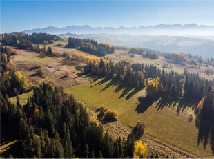 Działka Sprzedaż Biały Dunajec, Polska