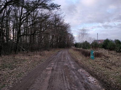 Działka budowlana Dębina, ul. Chwałowicka