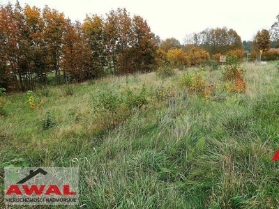 Działka budowlana Leśniewo, ul. Grabowa