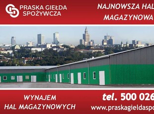 Magazyn Hala Magazynowa do Wynajęcia