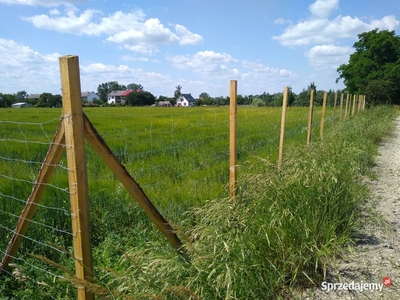 Działka pod Chojnowem na sprzedaż