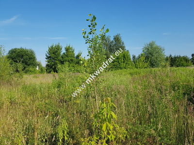 Działka z planem zagospodarowania terenu