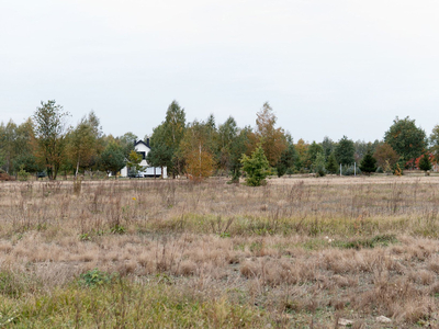 Radomski, Gózd, Kiedrzyn