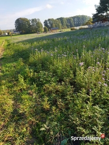 Urokliwa działka letniskowo-budowlana blisko lasu i rzeki