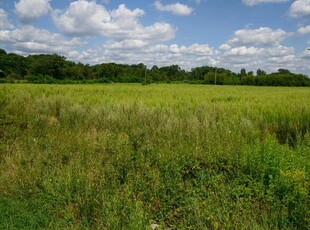 Działka 2,39 ha Stanisławowo gm. Pomiechówek