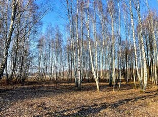 Działka Budowlana 2324 m2 Bieganów gm. Jaktorów