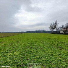 Działka budowlana 30a, 65 tys. zł, Ostrówek