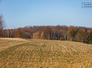 Działka budowlana Łękawica gm. Skrzyszów