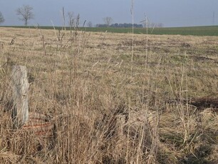 Działka budowlana o pow. 22ary z możliwością zabudowy