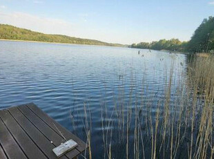 Działka Gołdap Mazury - z linią brzegową jeziora