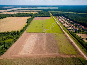 Działka przemysłowa Domaniew