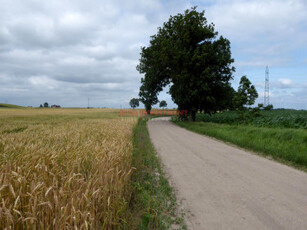 Działka rolna, ul. Przydatki