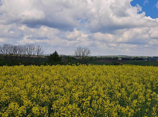 Krakowski, Skała, Przybysławice