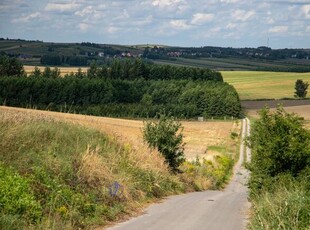 Urokliwa działka leśna . buk, brzoza , i inne