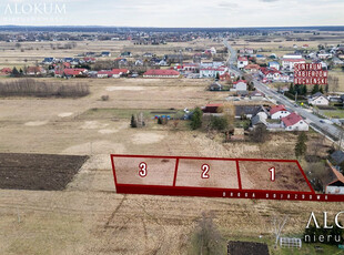 Wielicki, Niepołomice, Zabierzów Bocheński