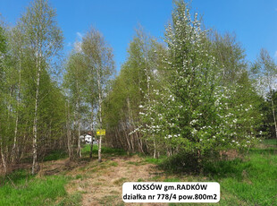 Włoszczowski (Pow.), Radków (Gm.), Kossów