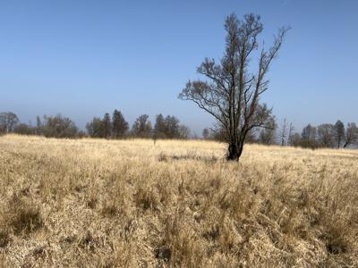 Atrakcyjna działka nad Zalewem Szczecińskim