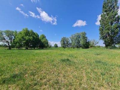 Działka w sąsiedztwie lasu, blisko Zalewu Szczec.