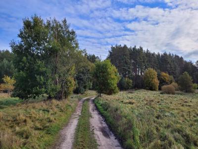 Warnowo Działka z planem zagospodarowania