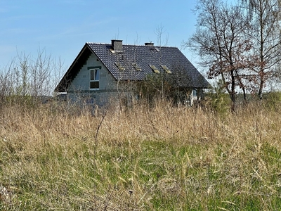 Mała działka przy lesie