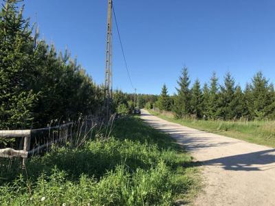 DZIAŁKA 1536 m2 Pobyłkowo Małe, koło Serocka