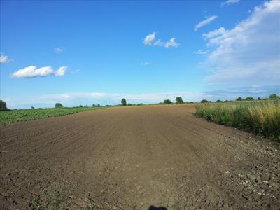 Działka na sprzedaż, Trzebnicki, Dobrosławice