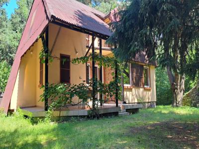 Dom w lesie w otoczeniu obszaru Natura 2000