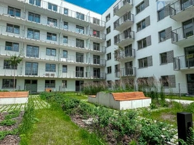 Apartament, ul. Mikołowska