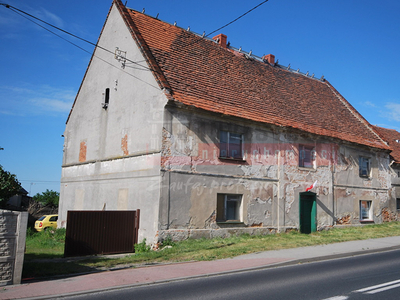 Brzeski, Lewin Brzeski, Buszyce