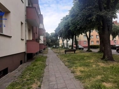 Mieszkanie, ul. Dąbrowskiego