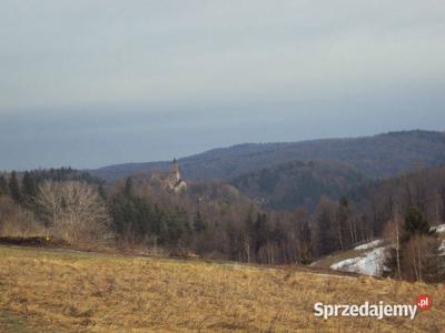 Dom wolnostojący Niedźwiedzica 500m2