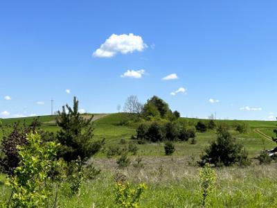 Działka rolno-budowlana Zrębice