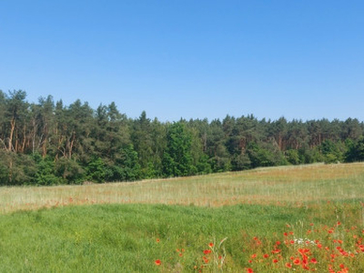 Działka budowlana Nowy Witoszyn