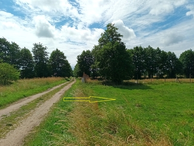 Działka budowlana Smołdziński Las, gm. Smołdzino