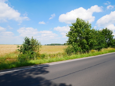 Działka rolna w Zebrzydowej