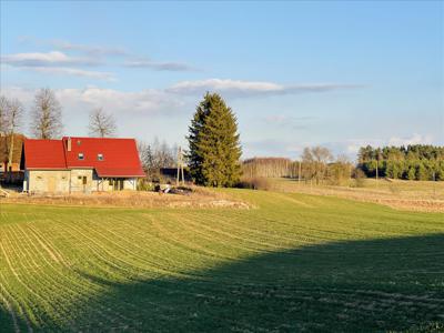 Działka na sprzedaż, Mrągowski, Lubiewo