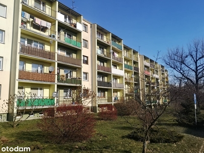 2 pok. mieszkanie | 53,20 m2 | Skarżysko-Kamienna