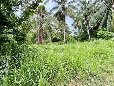 Działka budowlana Ko Samui