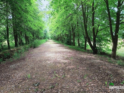 Działka rolna Celinów, ul. Polnych Kwiatów